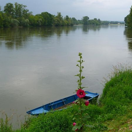 Escale De Loire Bed and Breakfast Chouzé-sur-Loire Exteriör bild