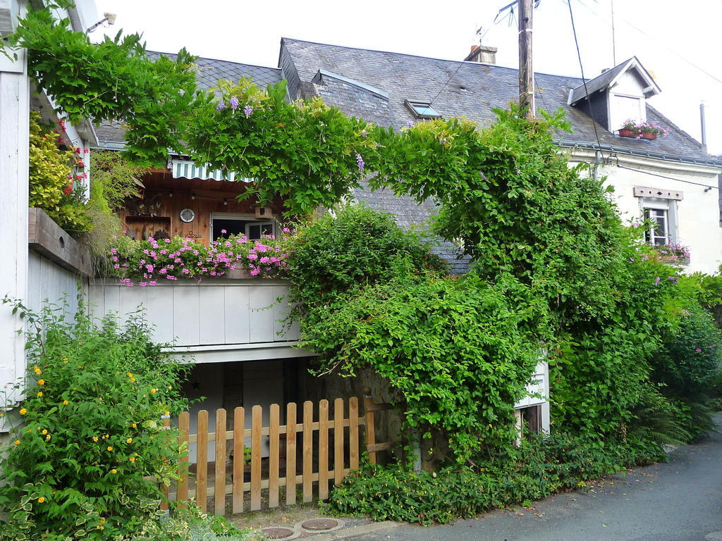 Escale De Loire Bed and Breakfast Chouzé-sur-Loire Exteriör bild